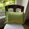 lime green velvet cushion