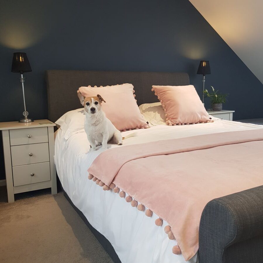 blush pink velvet pompom cushion