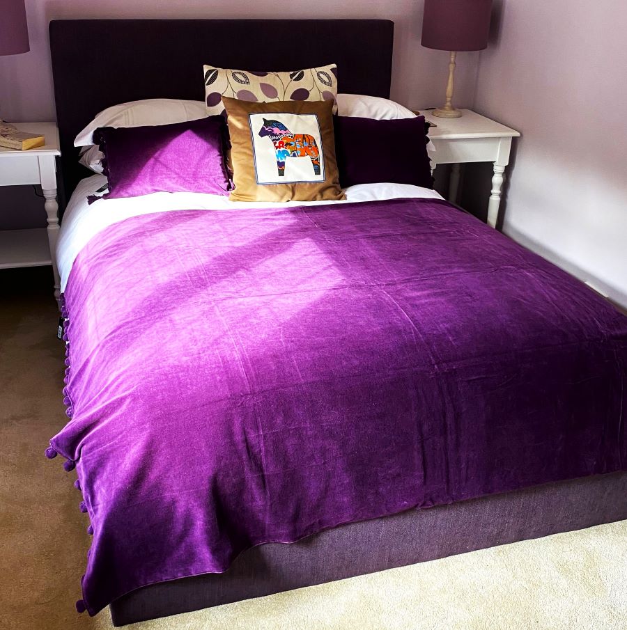 aubergine velvet throw