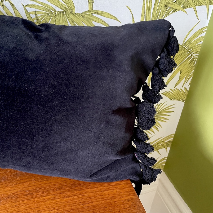black velvet tassel cushion