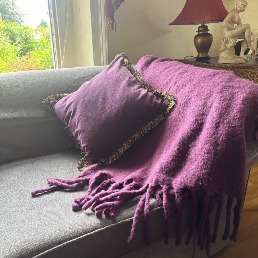 aubergine fringe velvet cushion